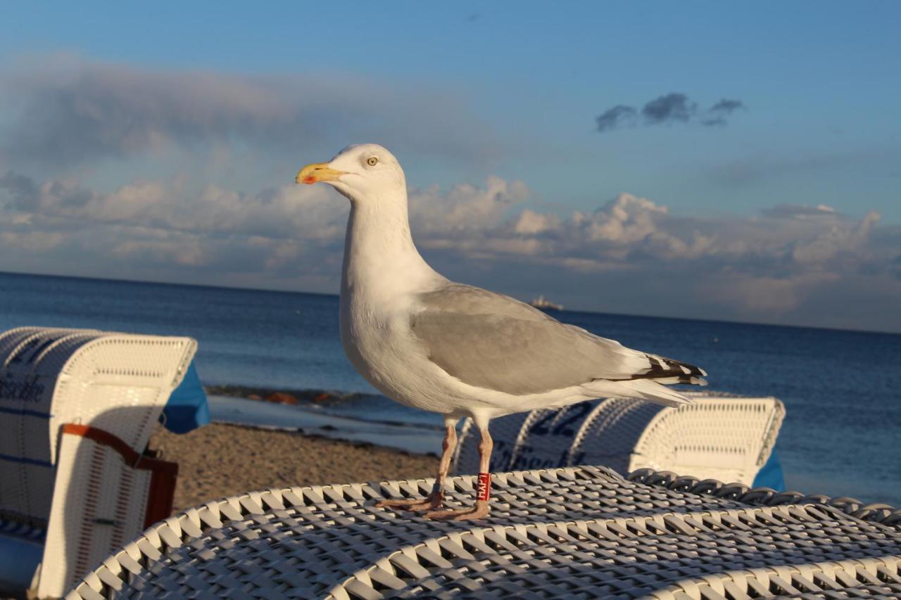 Ferienwohnungen Im Haus Strandburg Groemitz Ngoại thất bức ảnh